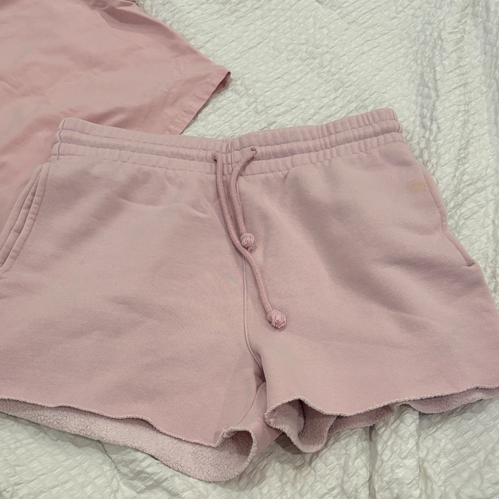 Aritzia Pink Women Shorts